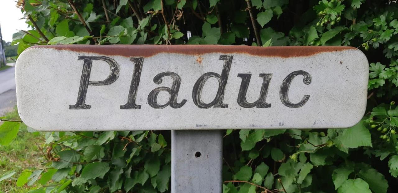 Domaine De Pladuc Bed & Breakfast Lachaise ภายนอก รูปภาพ