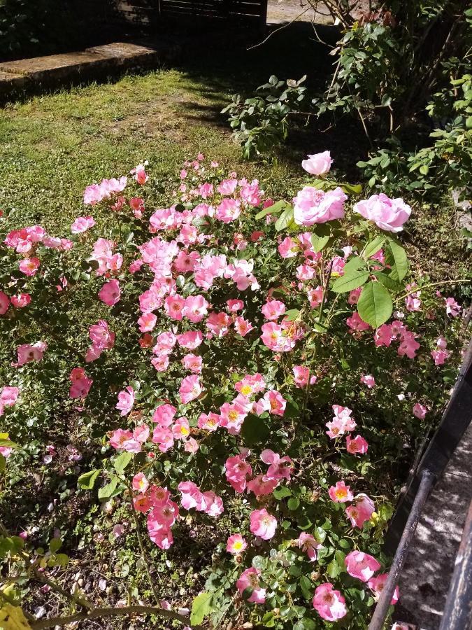 Domaine De Pladuc Bed & Breakfast Lachaise ภายนอก รูปภาพ