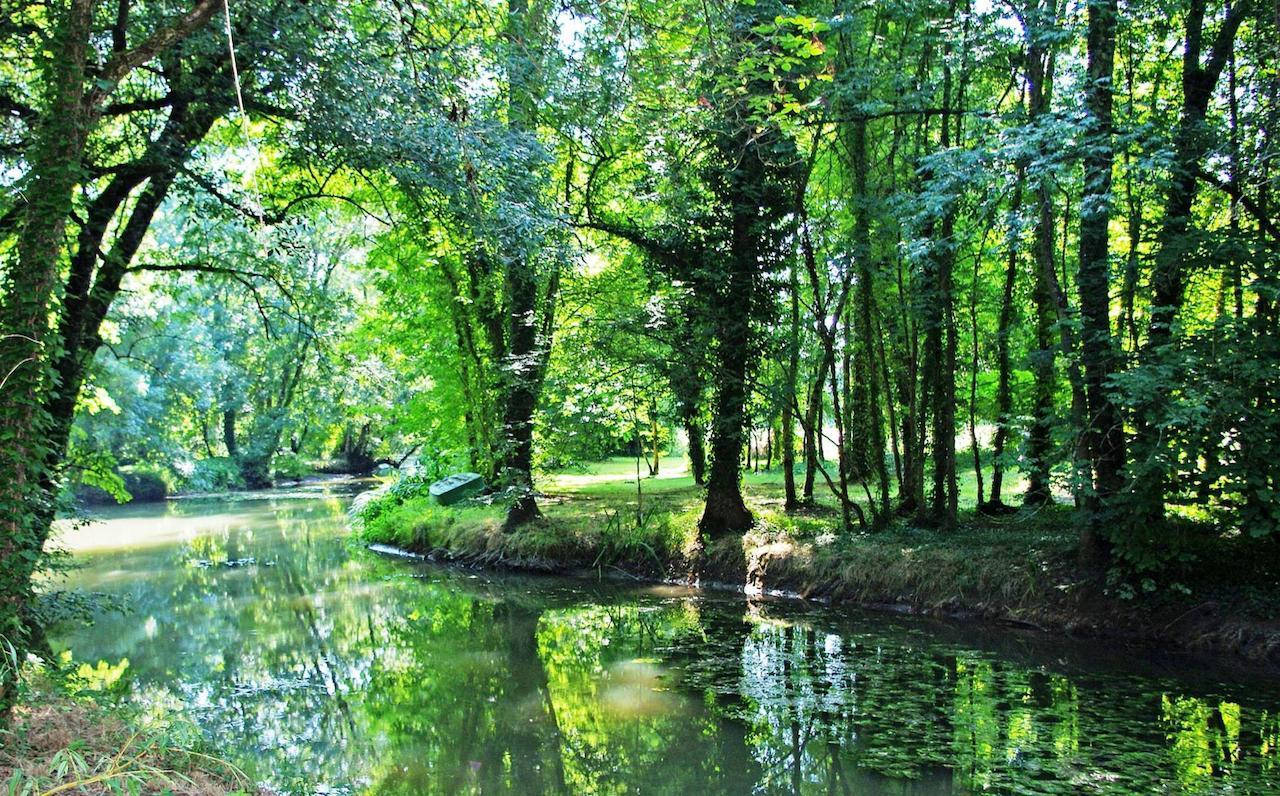 Domaine De Pladuc Bed & Breakfast Lachaise ภายนอก รูปภาพ