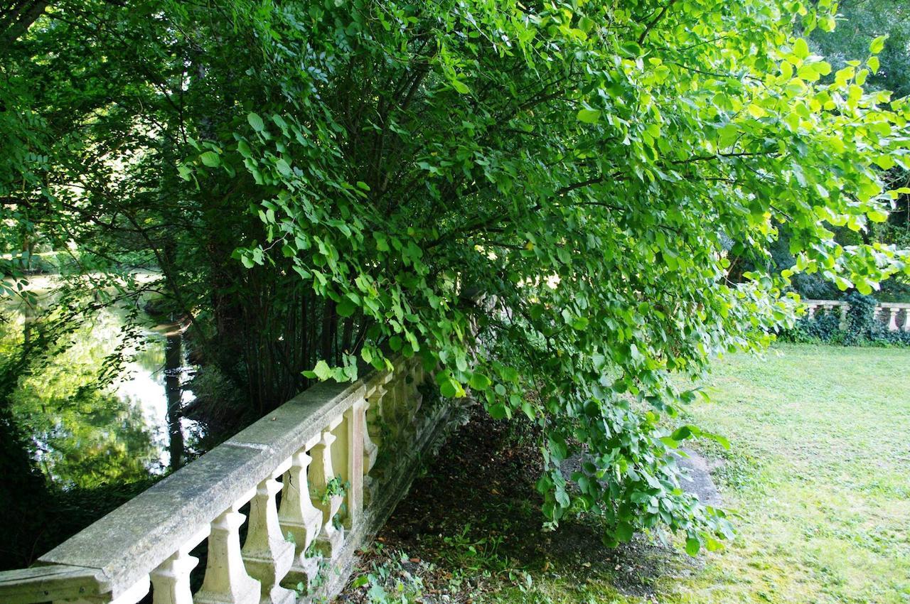 Domaine De Pladuc Bed & Breakfast Lachaise ภายนอก รูปภาพ